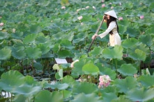 Nốt ruồi “vượng phu, vượng tài” của người phụ nữ