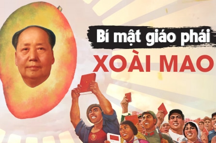Trung Quốc đã ‘phát điên’ vì trái xoài của Mao Chủ Tịch như thế nào?