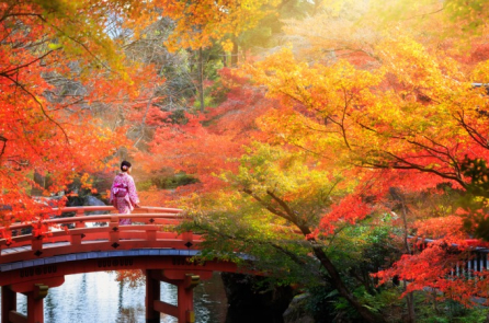 Phái nữ và công việc