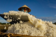 Nghiên cứu phát triển chỉ bằng 1/3 so với TQ, VN khó tăng năng suất lao động