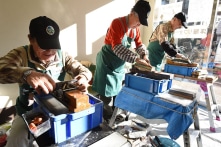 Nhật Bản: Trung bình cứ 10 người có 1 người trên 80 tuổi