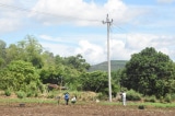 phu yen sua chua duong day dien 2 cong nhan thuong vong