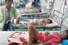 Quảng Nam: 4 mẹ con bị ong vò vẽ tấn công, người mẹ nguy kịch