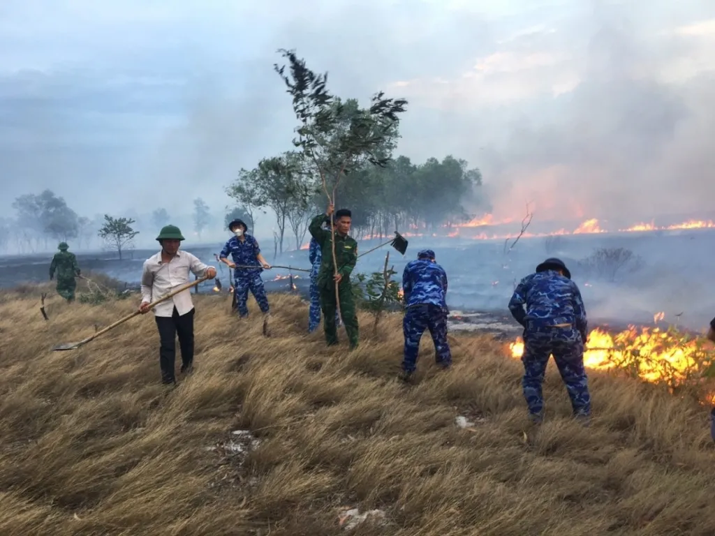 quang tri rung phong ho boc chay du doi