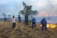 Quảng Trị: 30ha rừng phòng hộ bốc cháy