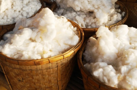 Đằng sau vẻ đẹp của sợi tự nhiên – Phần II: Len