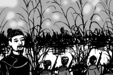Khởi nghĩa Bãi Sậy – P6: Hoàng Cao Khải lúng túng đổi cách đánh
