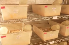 California: Phát hiện phòng thí nghiệm sinh học bí mật do người Trung Quốc vận hành