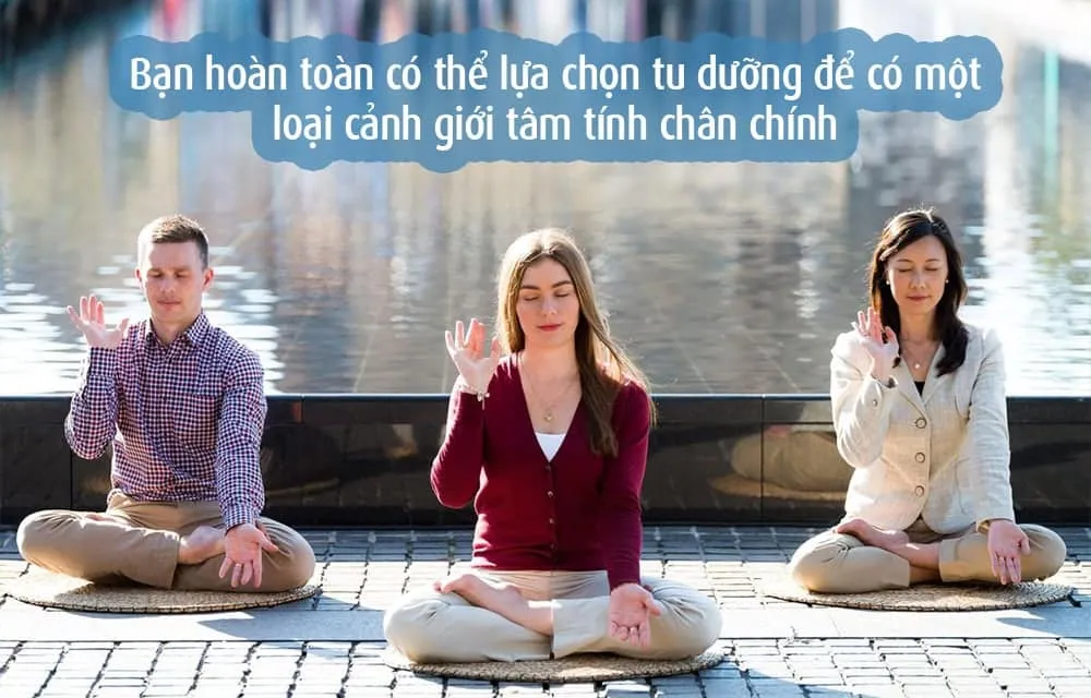 triet ly duong sinh dong tay hoi ngo QUOTE 10 image