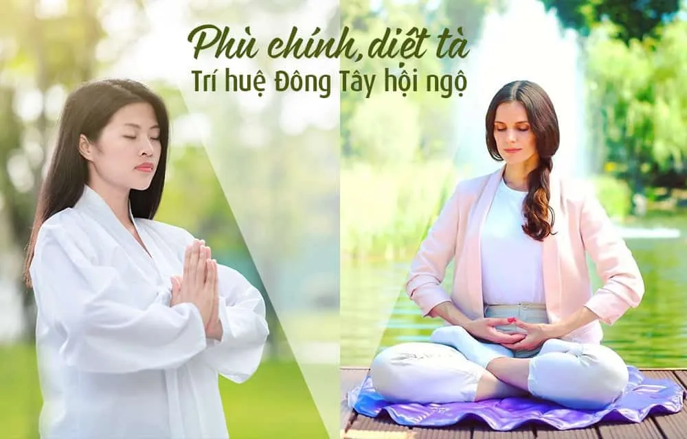 triet ly duong sinh dong tay hoi ngo QUOTE 8 image