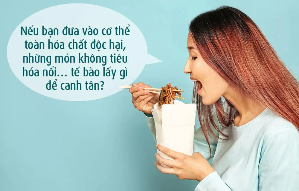 triet ly duong sinh dong tay hoi ngo QUOTE 9 image