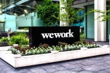 wework startup wework sap pha san 1441107809