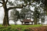 quan huong nghi thumbnail