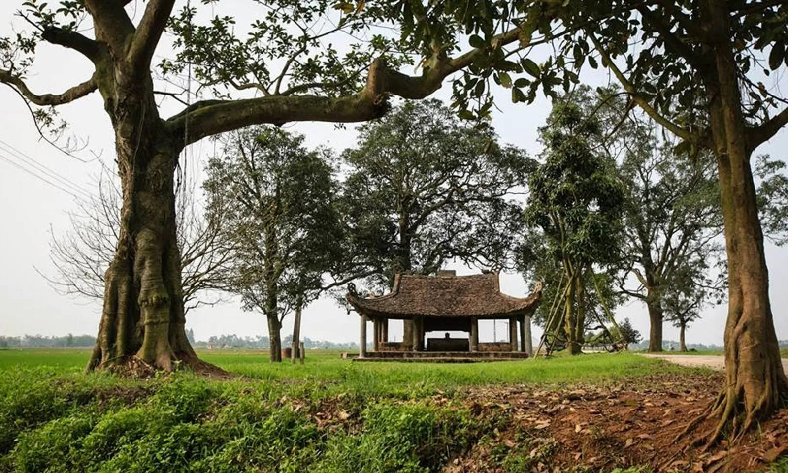 Vài ngôi làng “mỹ tục khả phong” ở Hà Nội