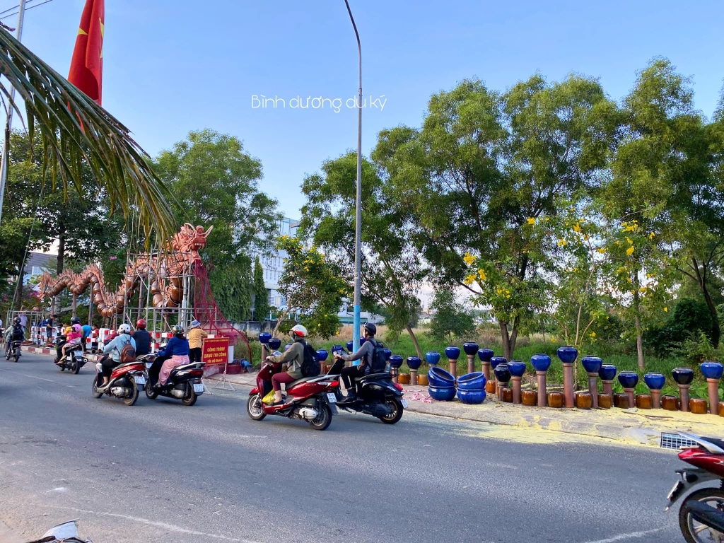 cap rong lu quang ba lo gom co tai binh duong 7