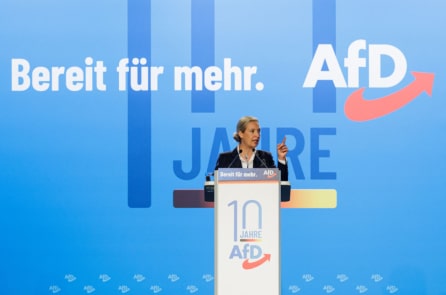 Bảy điểm chính từ buổi trò chuyện giữa lãnh đạo đảng AfD của Đức và ông Elon Musk