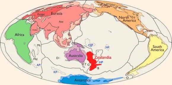 Vị trí của Zealandia (ảnh: N. Mortimer et al./GSA Today)