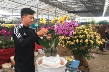 Tết Nguyên đán 2024: Miền Bắc có thể đón không khí lạnh