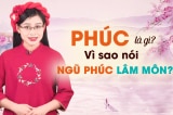 web phuc la gi