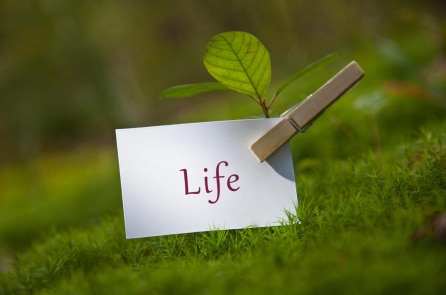 Cuộc sống là một quá trình sống ngày càng “ít đi”