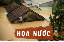 Họa nước