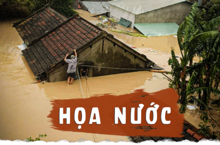 Họa nước