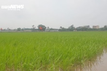 Thái Bình: Chủ tịch xã cùng 4 thuộc cấp bị khởi tố