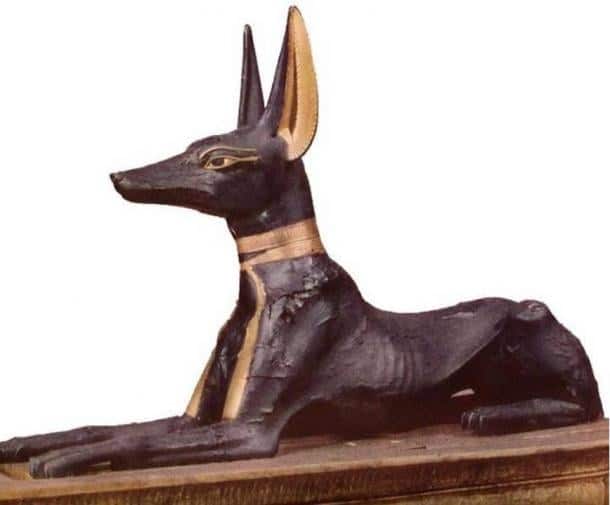 Biểu tượng của Anubis trong ngôi mộ của Tutankhamen (ảnh: CC BY SA 2.5 )