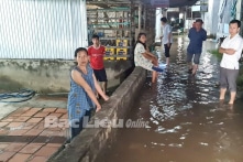 Bạc Liêu: Dự án kè chống sạt lở gần 100 tỷ đồng có nhiều sai phạm