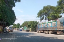 TP. Vinh muốn thu phí đỗ ô tô dưới lòng đường