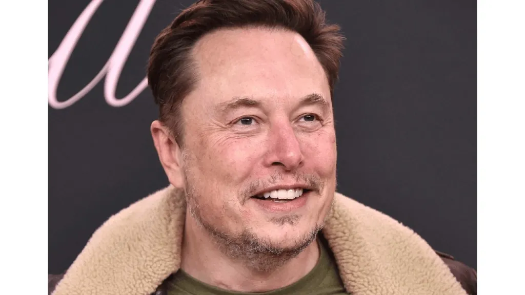 CEO Tesla Elon Musk