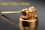 Dau thau vang 1