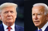 Trump Biden