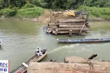 TQ xây cầu ở Panama, làm trầm trọng thêm cuộc khủng hoảng nhập cư ở Mỹ?