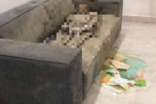 Vụ thi thể khô trên sofa: Điện thoại bị tháo sim, nhiều đồ đạc được dọn sạch