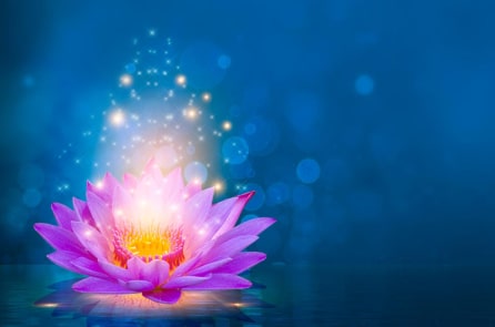 Hai phẩm chất không thể thiếu để thành công