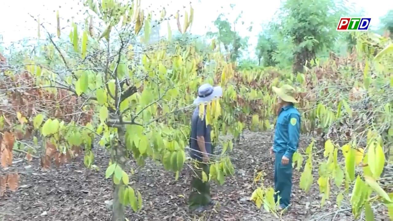 dak nong kien nghi ho tro 377 ty dong de khac phuc han han 1