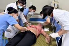 Hải Phòng: Khách sạn phá tổ ong, 2 mẹ con đi đường mỗi người bị ong đốt 100 nốt
