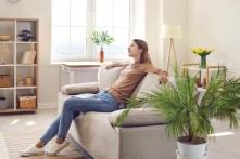 Bí quyết giúp ngôi nhà mát mẻ trong đợt nắng nóng, giảm bớt gánh nặng lên điều hòa