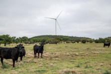 Vốn từ Trung Quốc mua đất nông nghiệp quanh nhiều căn cứ quân sự Mỹ