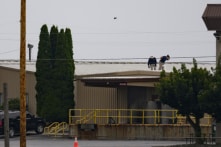 FBI: Tay súng không chỉ nhắm vào Trump, Biden mà còn cả Hoàng gia Anh