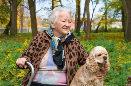 Mất tích 2 ngày trên núi, cụ bà được cứu sống nhờ cún cưng