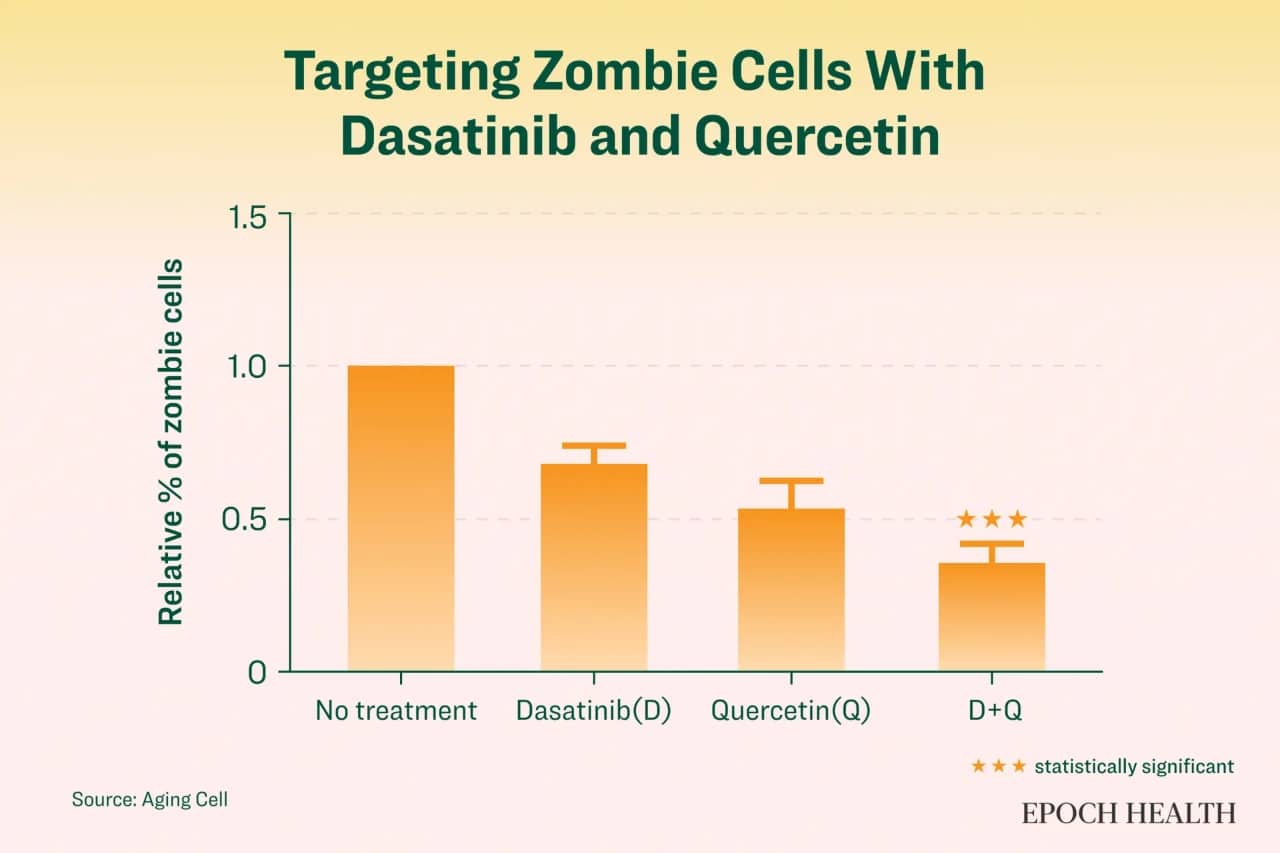 dasatinib va quercetin