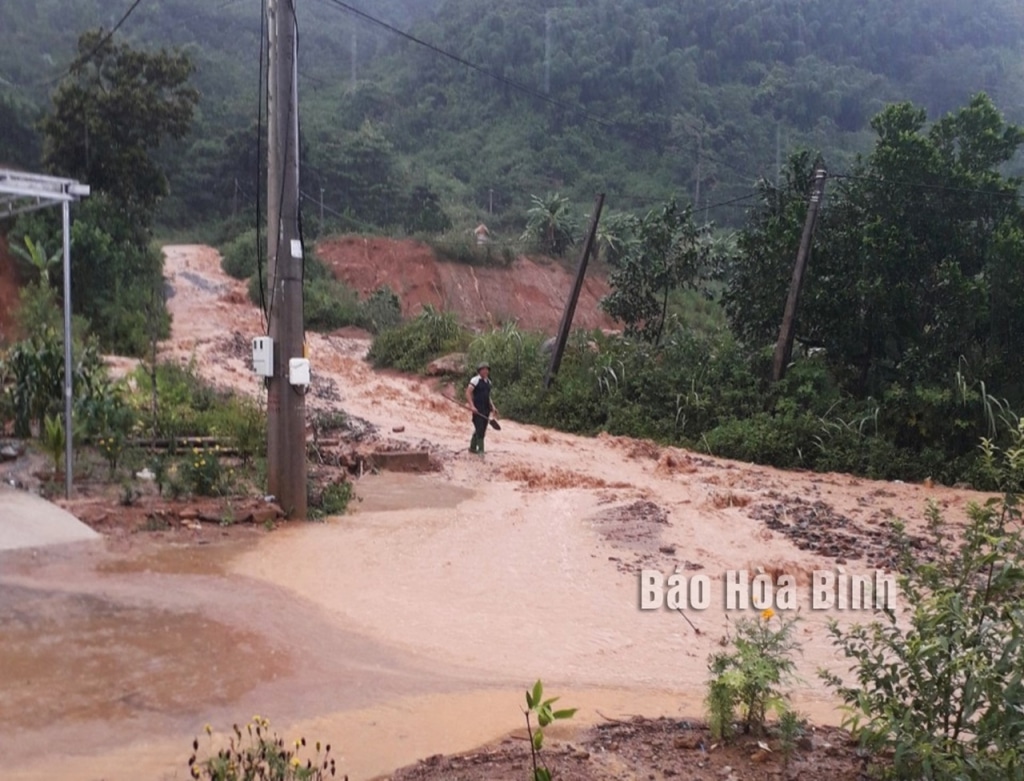 hoa binh lu cuon tu vong be gai.jpg