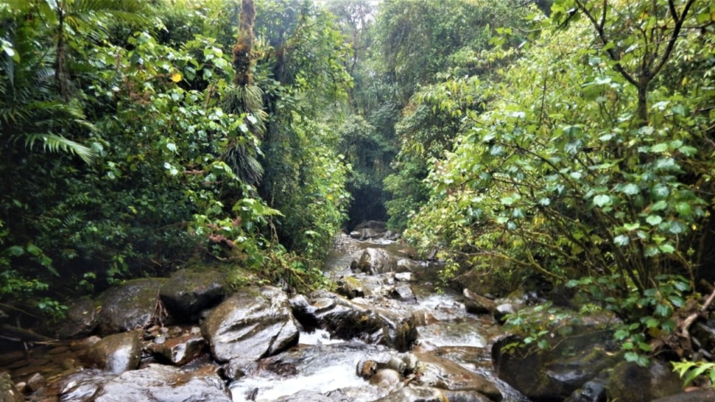 Darien Gap