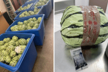 Mỹ: Tuồn 2 tấn ma túy đá ngụy trang thành dưa hấu