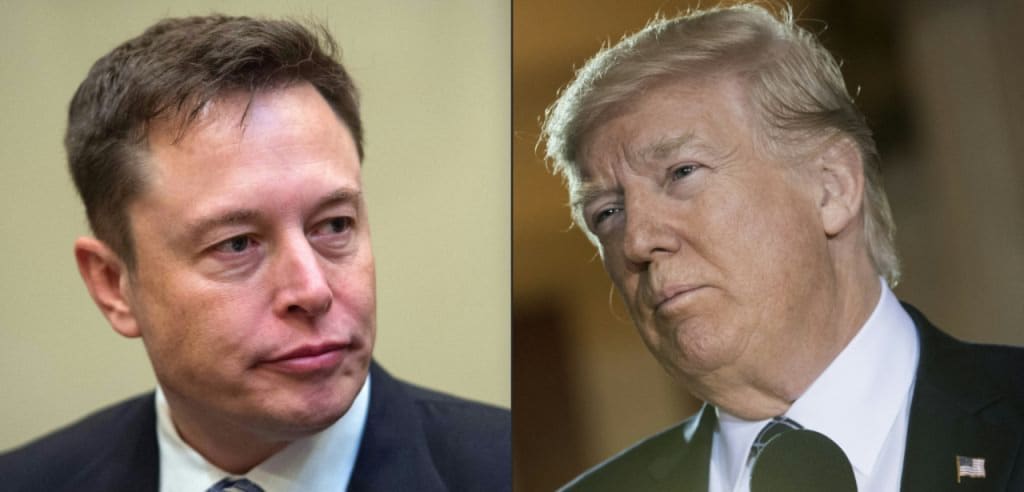 Trump Musk