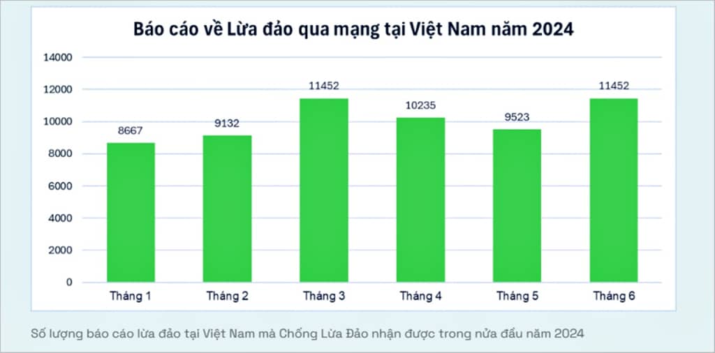 bao cao lua dao qua mang nua dau nam 2024