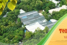 Chùa do ông Thích Chân Quang trụ trì chiếm hơn 1.418 m2 đất rừng phòng hộ