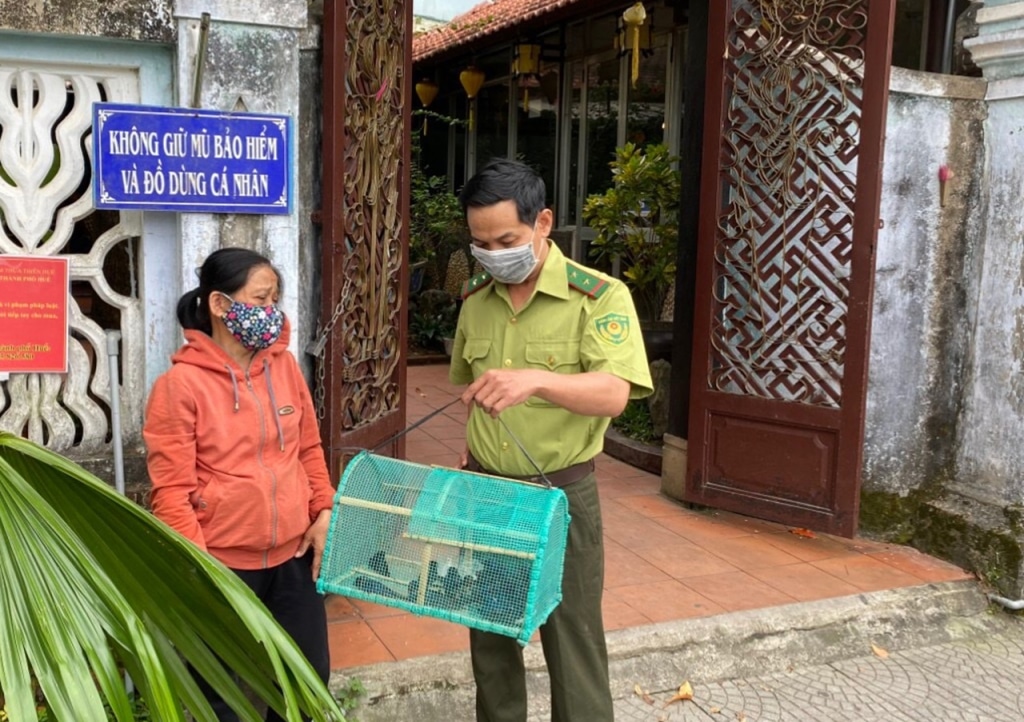 hue de nghi phat tu khong mua chim phong sinh